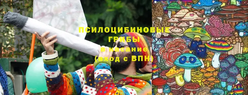 Галлюциногенные грибы MAGIC MUSHROOMS  Пермь 